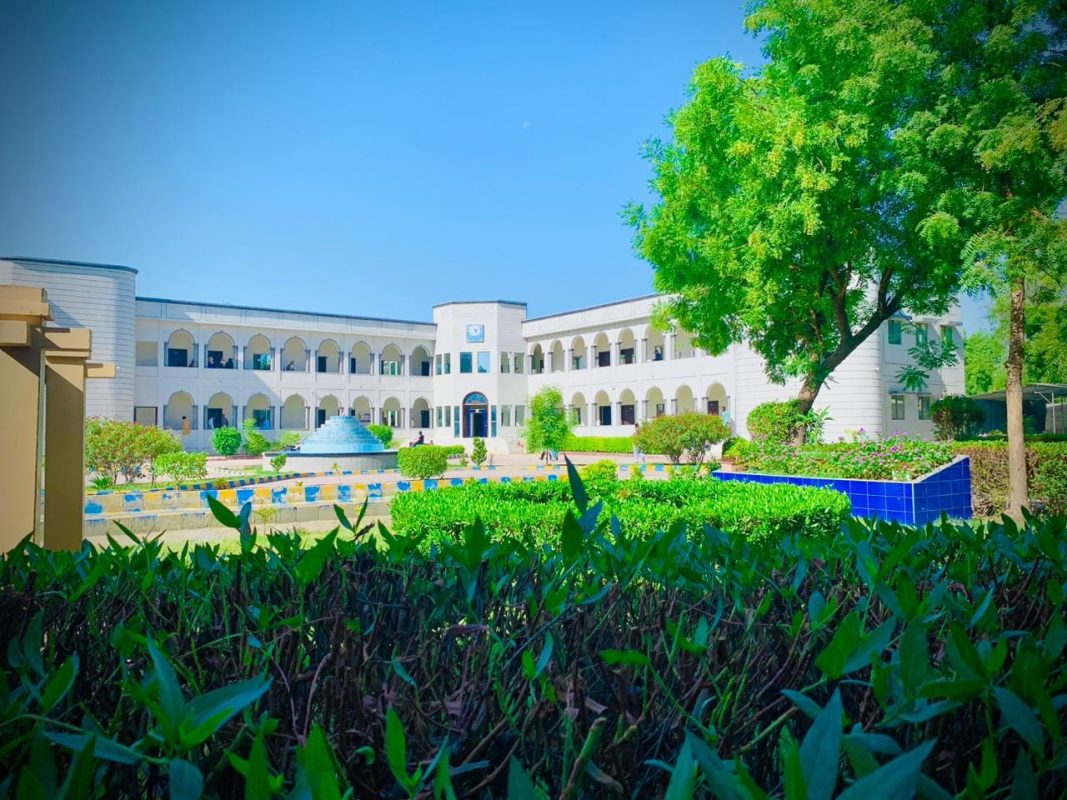 sakrand-vitnaray-university