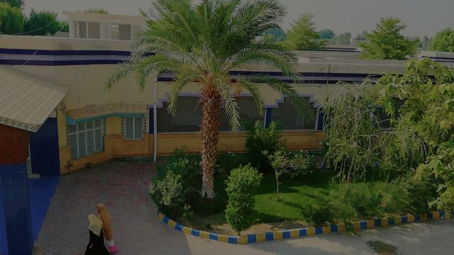 shaikh-ayaz-university