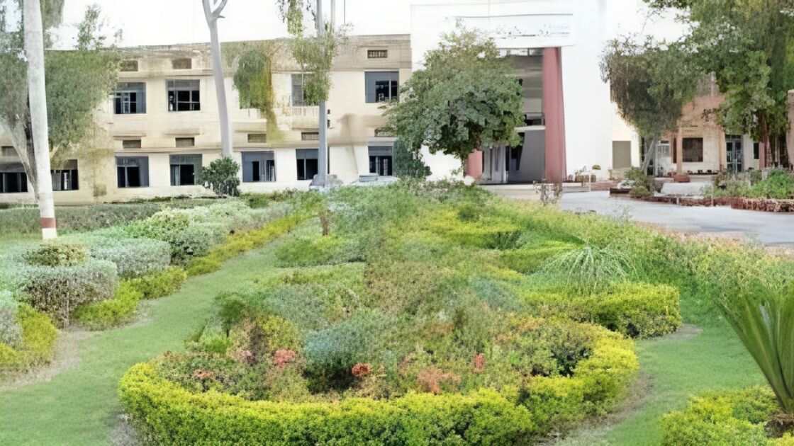 government sadiq college-women university
